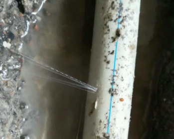 阿瓦提卫生间测漏水多少钱