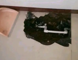 阿瓦提卫生间测漏水多少钱